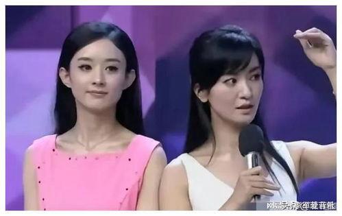 娱乐圈吃瓜爆料猪头特效,猪头特效背后的吃瓜爆料风云  第3张