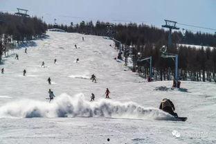 滑雪场爆料西宁最新消息,揭秘西宁冬季滑雪盛事新资讯 第3张 滑雪场爆料西宁最新消息,揭秘西宁冬季滑雪盛事新资讯 第3张