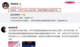爆料视频类型是什么意思,揭秘网络爆料背后的真相与类型解析