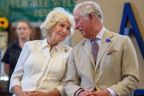 英国查尔斯爆料视频大全,揭秘王室不为人知的秘密  第3张
