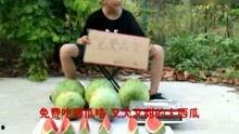 娱乐搞笑吃瓜视频大全,笑料横生！娱乐搞笑吃瓜视频大盘点  第2张