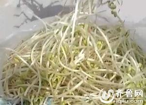 豆芽爆料视频大全集,揭秘娱乐圈幕后真相