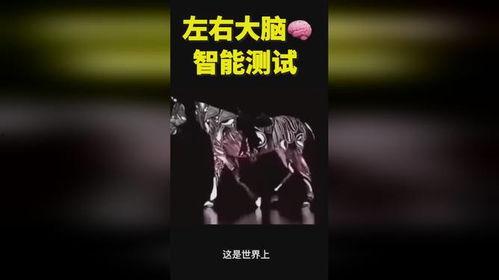 奇人异事热点爆料视频在线观看,揭秘神秘事件,热点爆料视频在线观看  第1张 奇人异事热点爆料视频在线观看,揭秘神秘事件,热点爆料视频在线观看  第1张