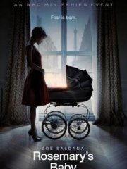 魔鬼圣婴在线观看,在线揭秘神秘家族的黑暗秘密  第1张